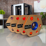 Our Signature Collections